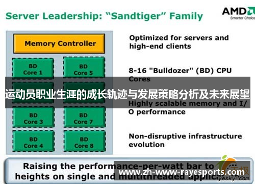 运动员职业生涯的成长轨迹与发展策略分析及未来展望