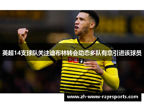 英超14支球队关注迪布林转会动态多队有意引进该球员