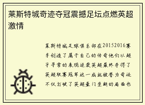 莱斯特城奇迹夺冠震撼足坛点燃英超激情